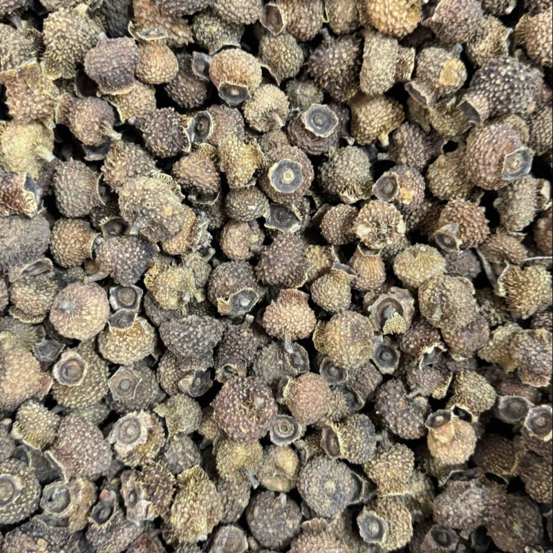 中药材刺梨果实茨梨木梨子各种规格批发零售保质保量