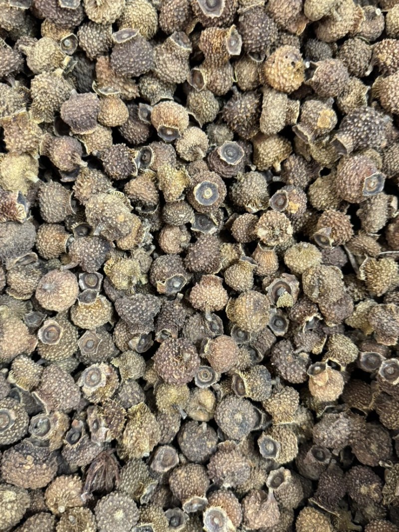 中药材刺梨果实茨梨木梨子各种规格批发零售保质保量