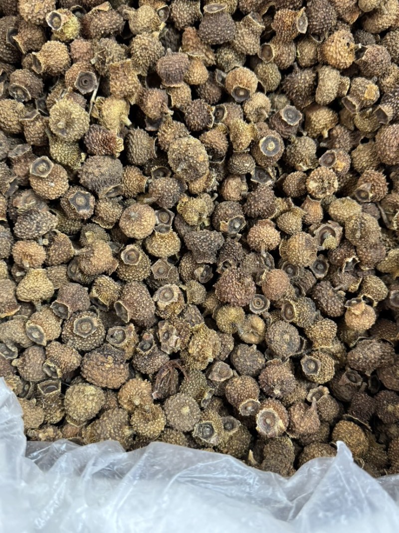 中药材刺梨果实茨梨木梨子各种规格批发零售保质保量