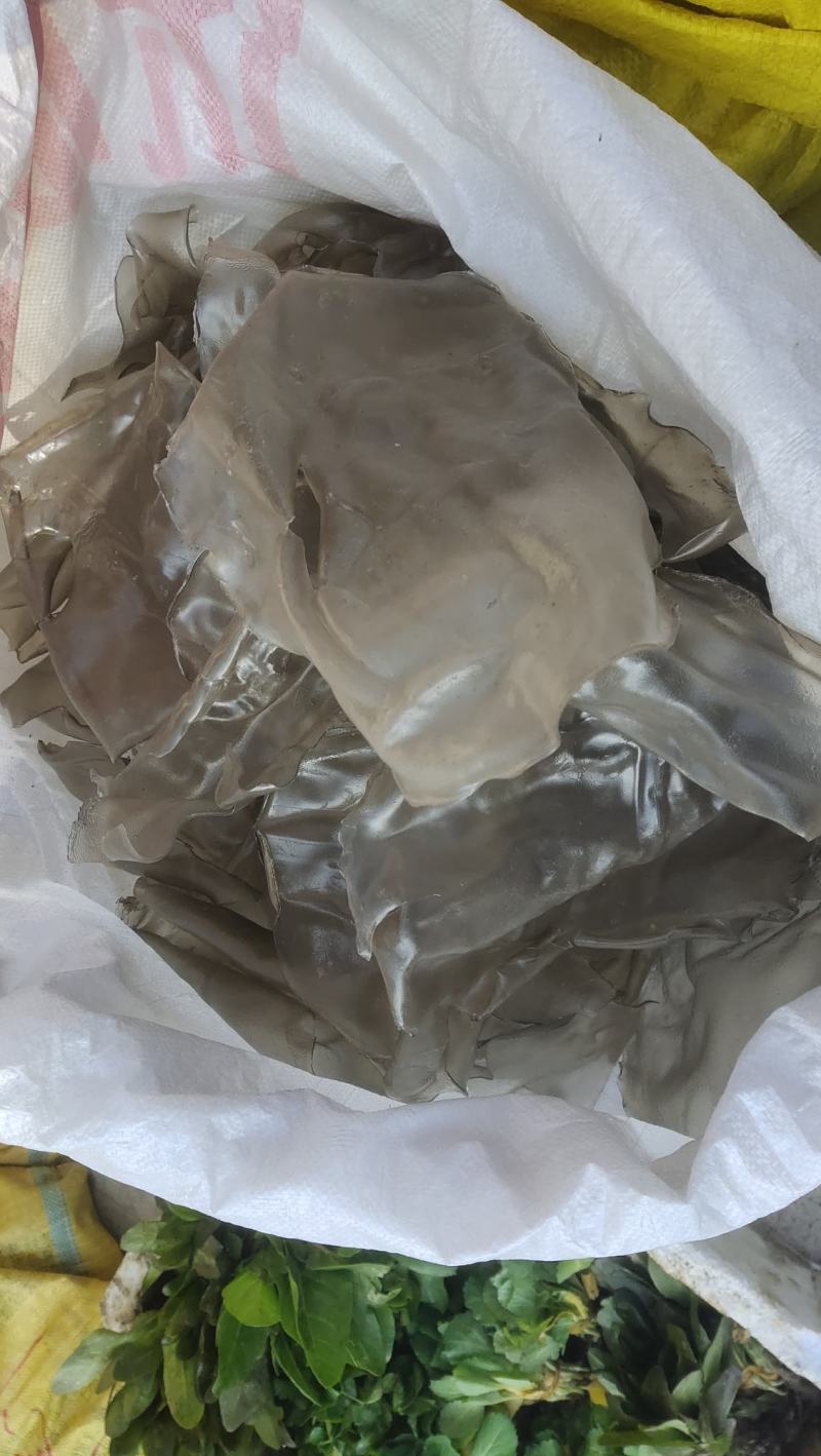 农村自产自销粉丝
