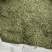 中药材侧柏叶柏树叶各种规格批发零售保质保量