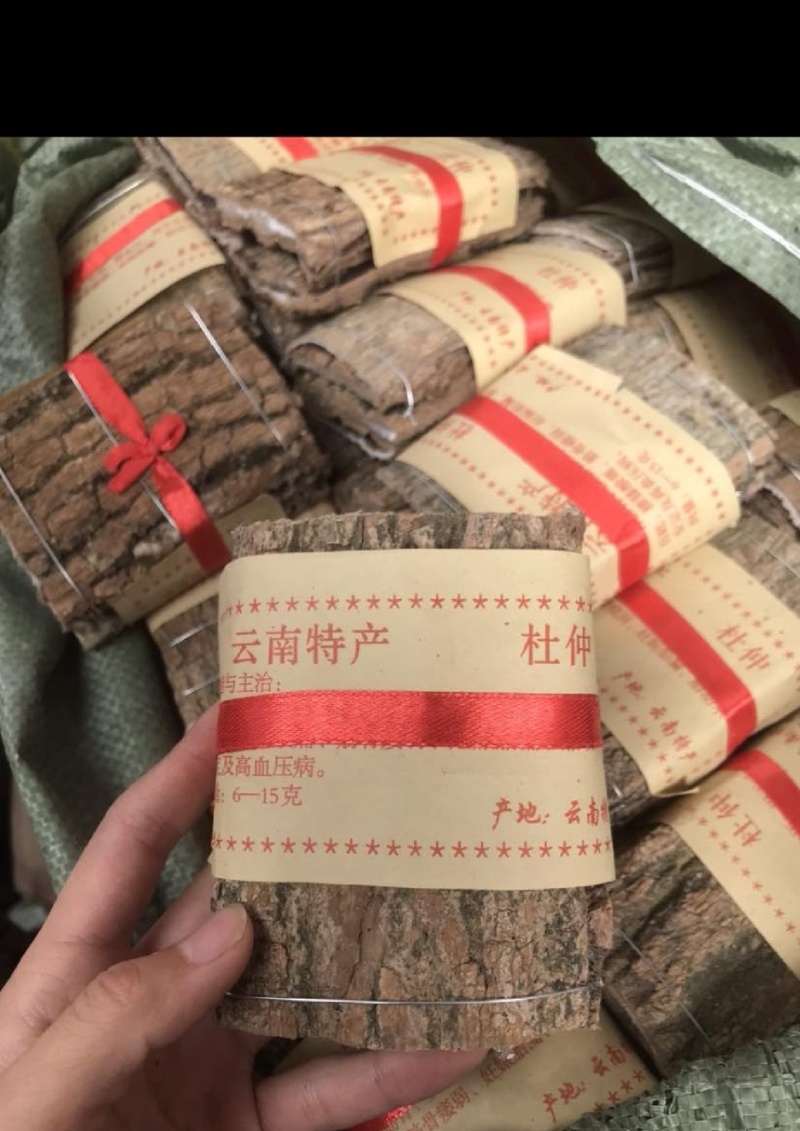 杜仲