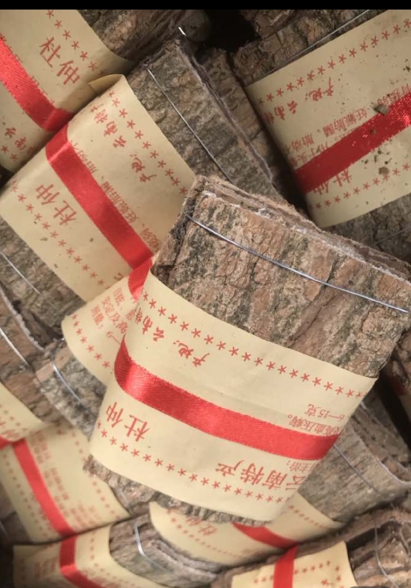 杜仲
