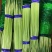冷库蒜苔大量供应