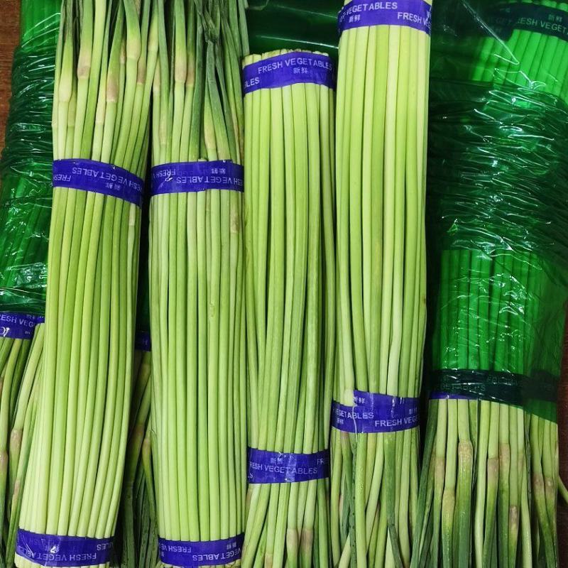 冷库蒜苔大量供应
