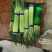 冷库蒜苔大量供应