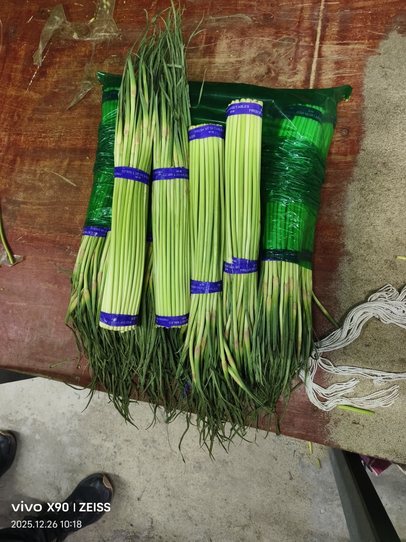 冷库蒜苔大量供应