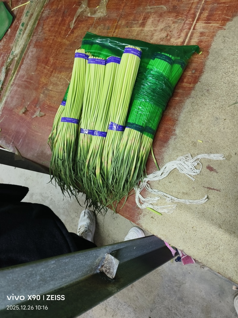 冷库蒜苔大量供应