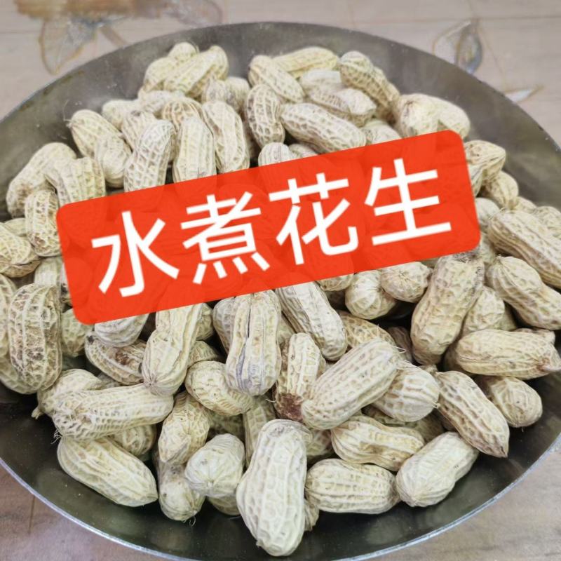 客家水煮花生河源水煮花生忠信水煮花生农家水煮花生