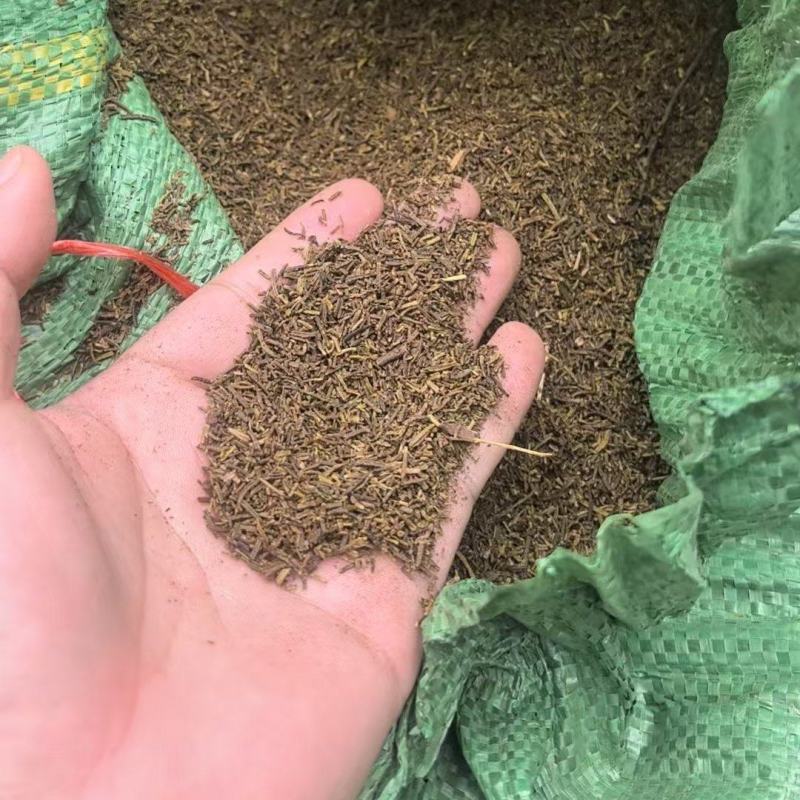 烘干迷迭香渣厂家紧急处理超低价出售