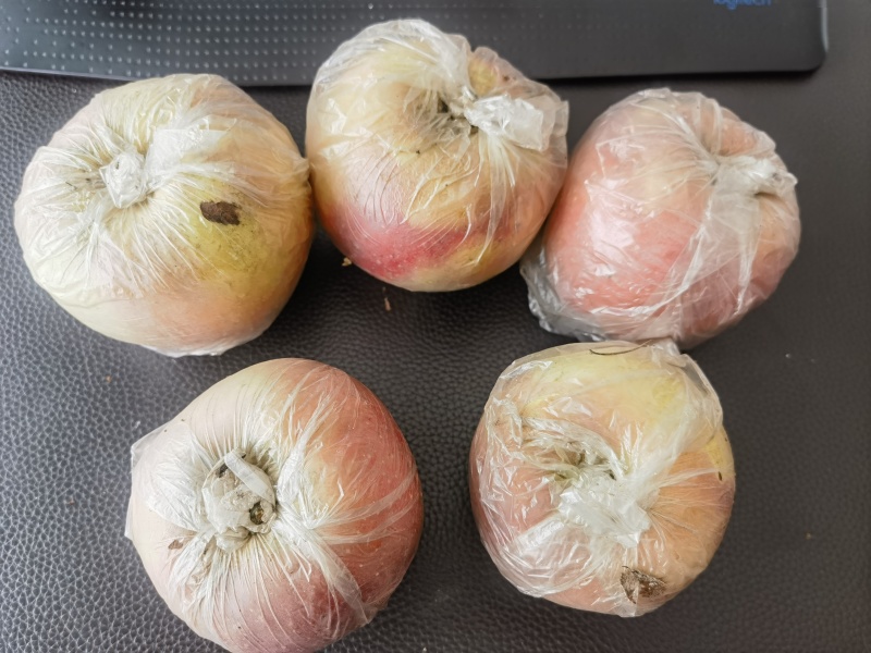 高青红富士