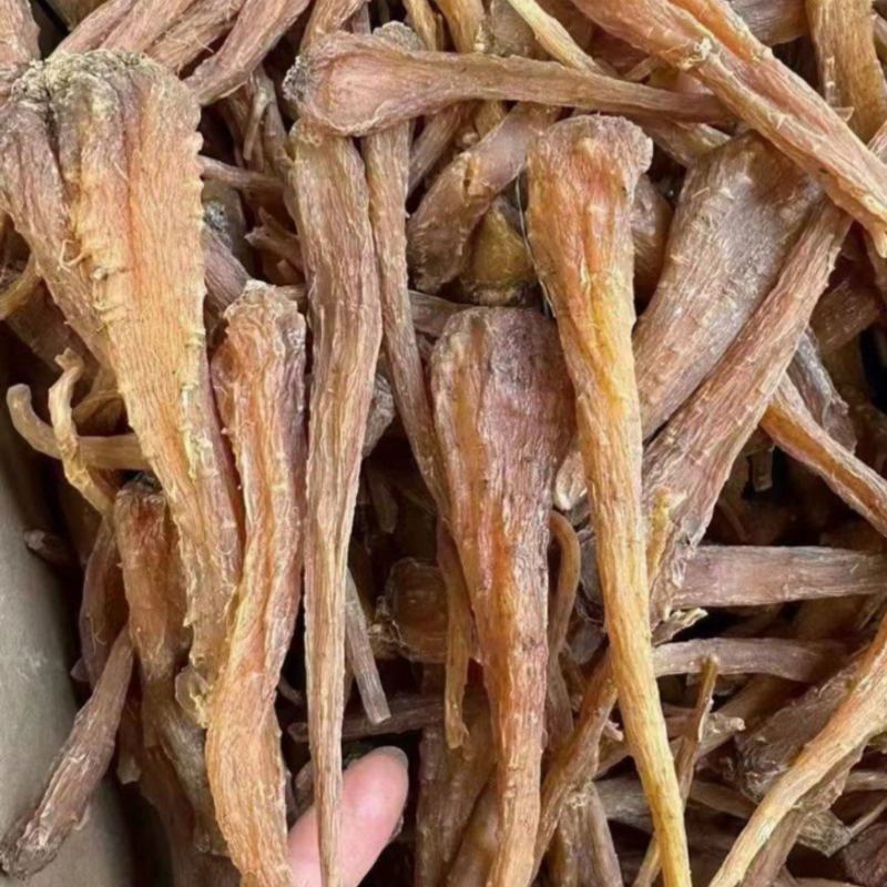 藏血参云南高海拔藏血参一件代发量大从优原产地一手货源
