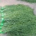 【推荐】贡菜干云南贡菜干产地直发对接商超火锅店市场