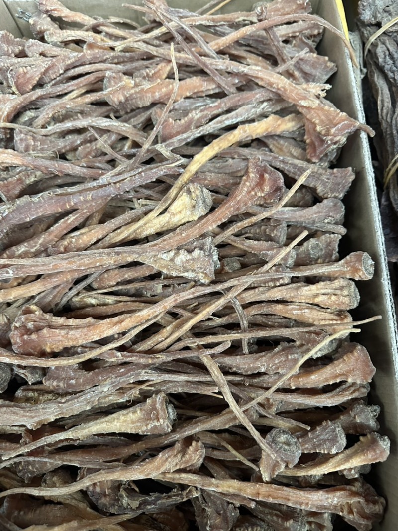 藏血参云南高海拔藏血参一件代发量大从优原产地一手货源