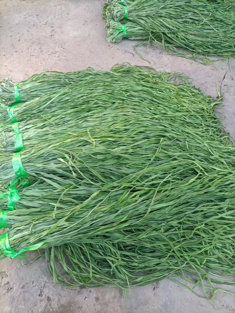 【推荐】贡菜干云南贡菜干产地直发对接商超火锅店市场