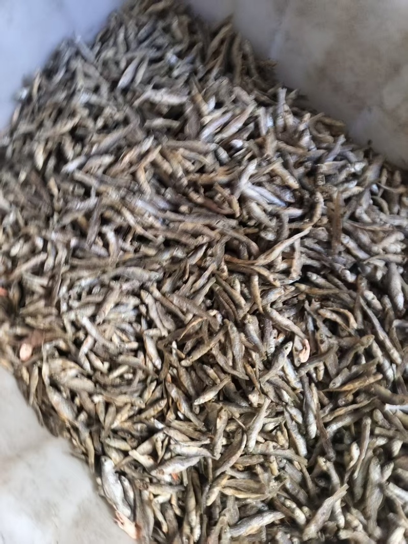 山东微山湖开肚烤小麦鱼品质好价格低产地直供