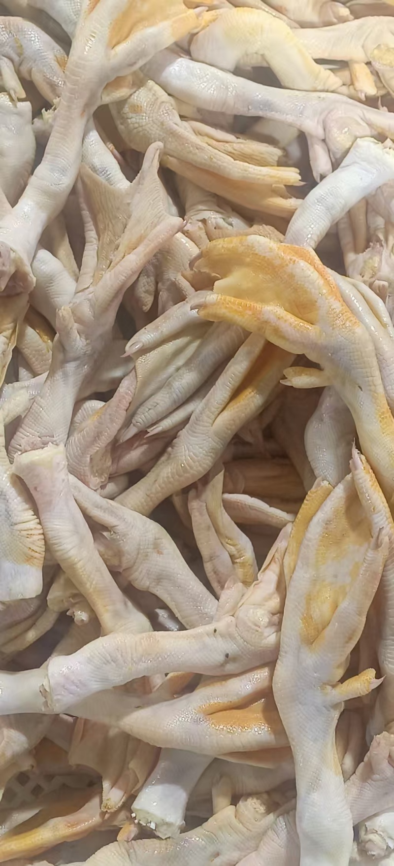 带筋填鸭掌，填鸭鸭掌，现货，工厂可订做