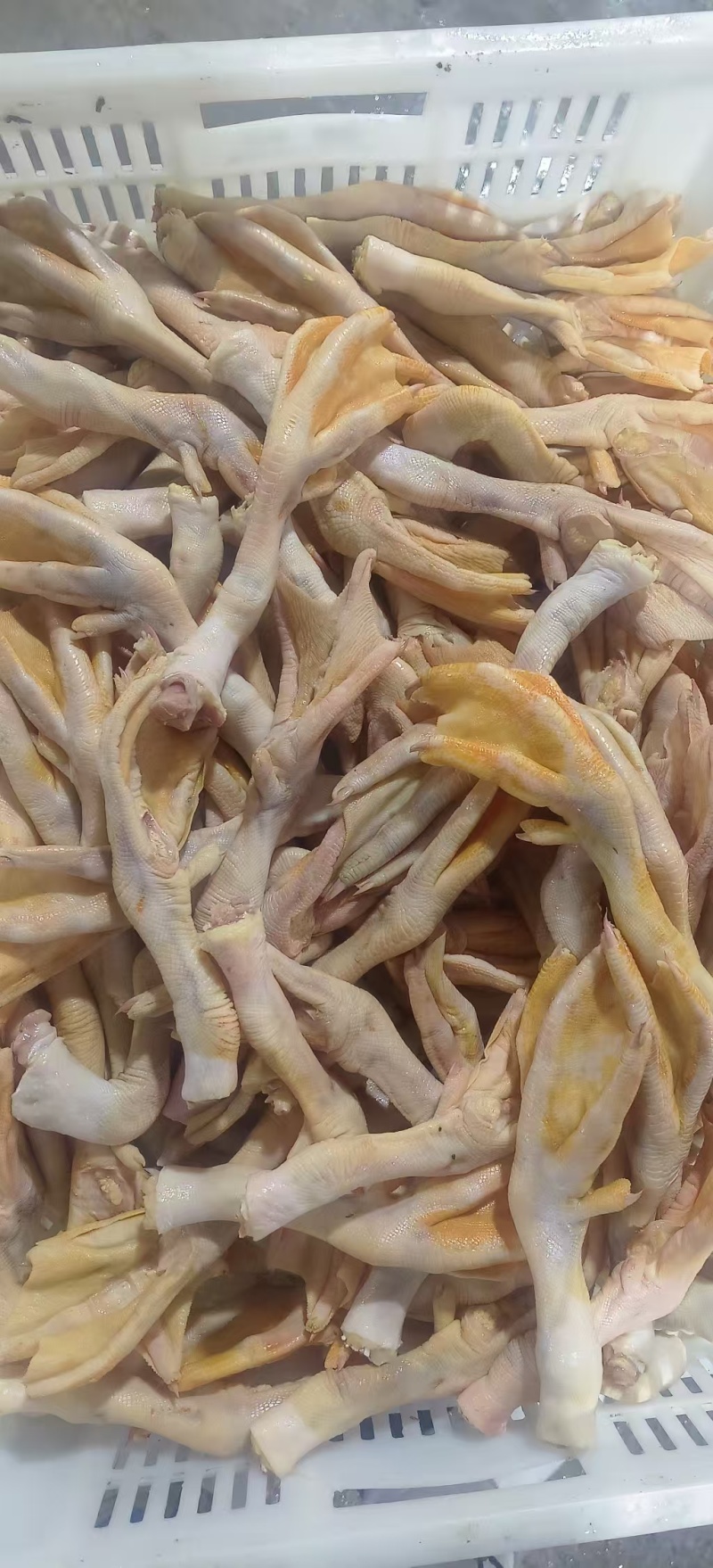 带筋填鸭掌，填鸭鸭掌，现货，工厂可订做