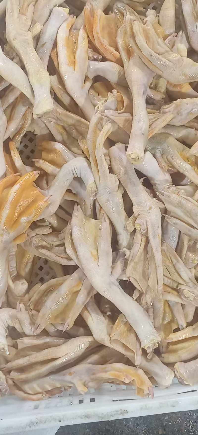 带筋填鸭掌，填鸭鸭掌，现货，工厂可订做