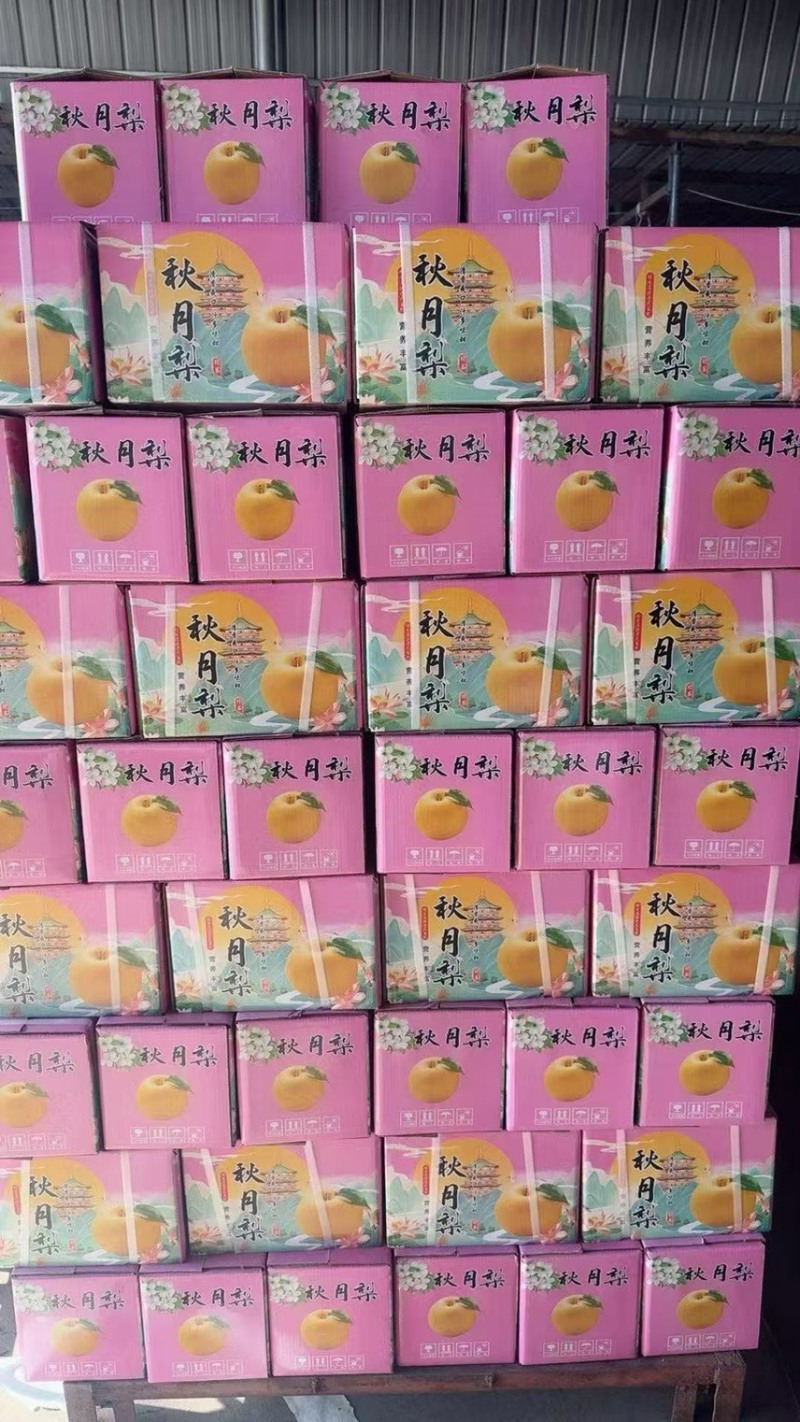 正宗秋月梨，大量现货，现场加工货源充足自产自销全国接单中