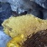 纯野生冬至蜜