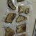 纯野生冬至蜜