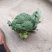 散花西兰花，大量接单产地直发量大从优欢迎来电