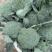 散花西兰花，大量接单产地直发量大从优欢迎来电