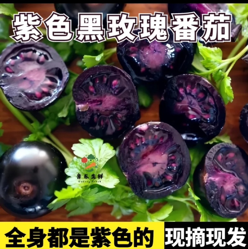 【实力货源】黑色番茄黑玫瑰黑珍珠番茄花青子