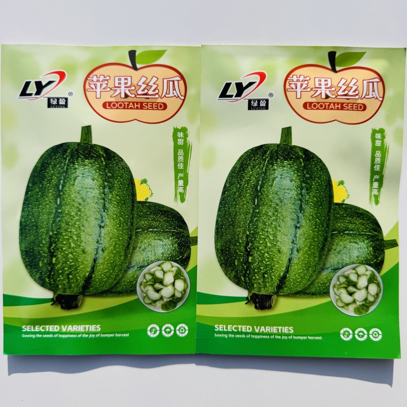 苹果丝瓜种子杂交一代苹果型丝瓜种籽山东丝瓜产量高味甜抗病