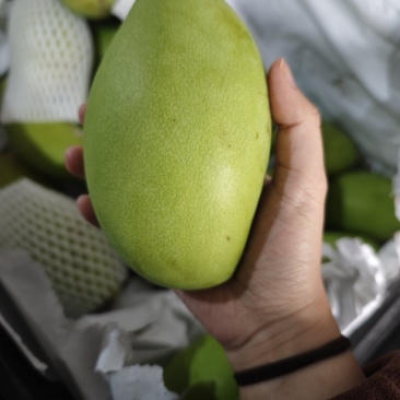 越南玉芒一件代发250-500g