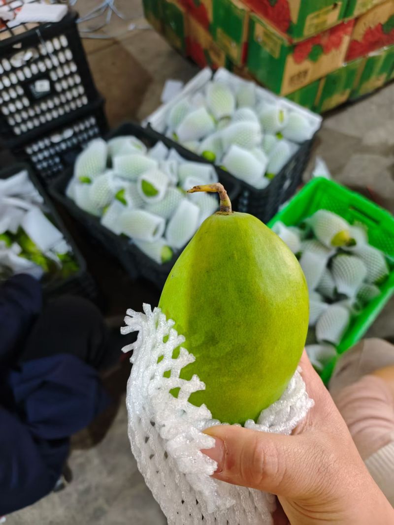 越南玉芒一件代发250-500g