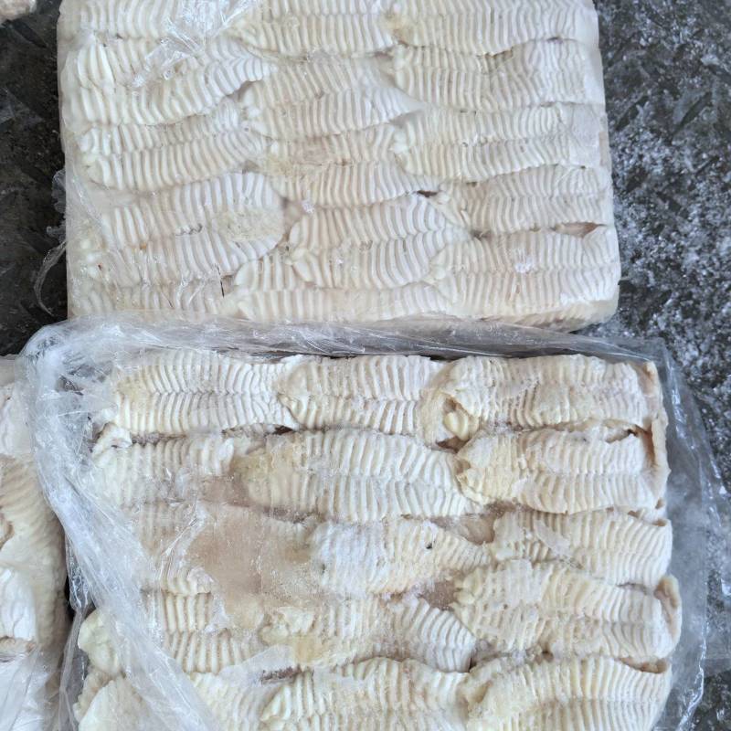 纯干天梯无肉一箱400片左右