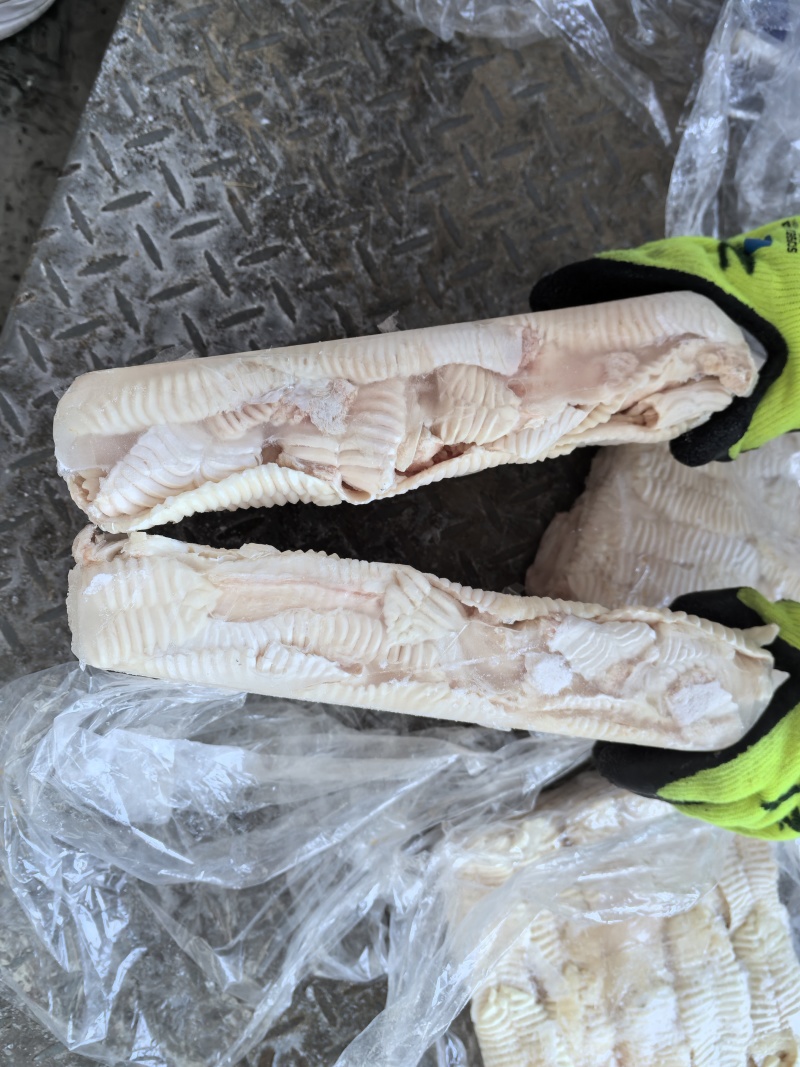 纯干天梯无肉一箱400片左右