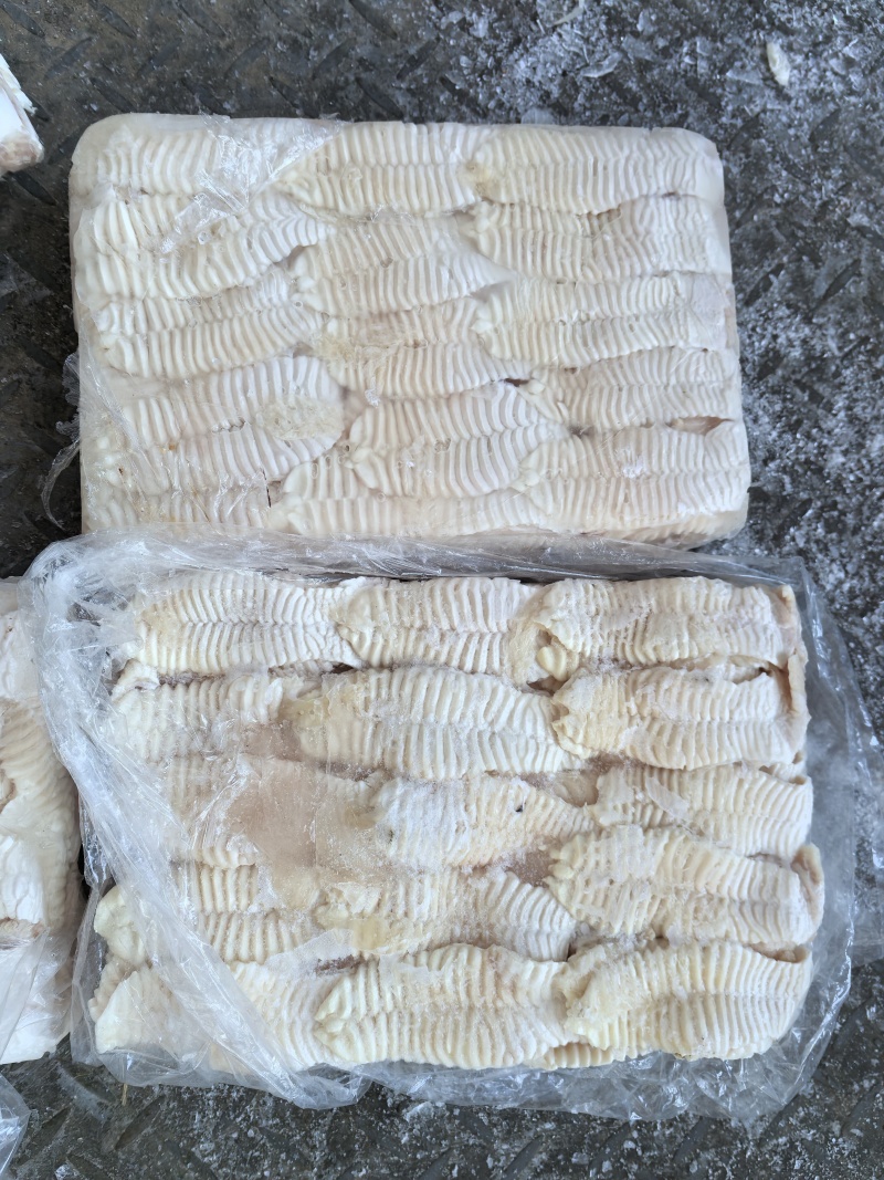 纯干天梯无肉一箱400片左右