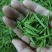 遂川狗牯脑绿茶