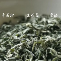 遂川狗牯脑绿茶