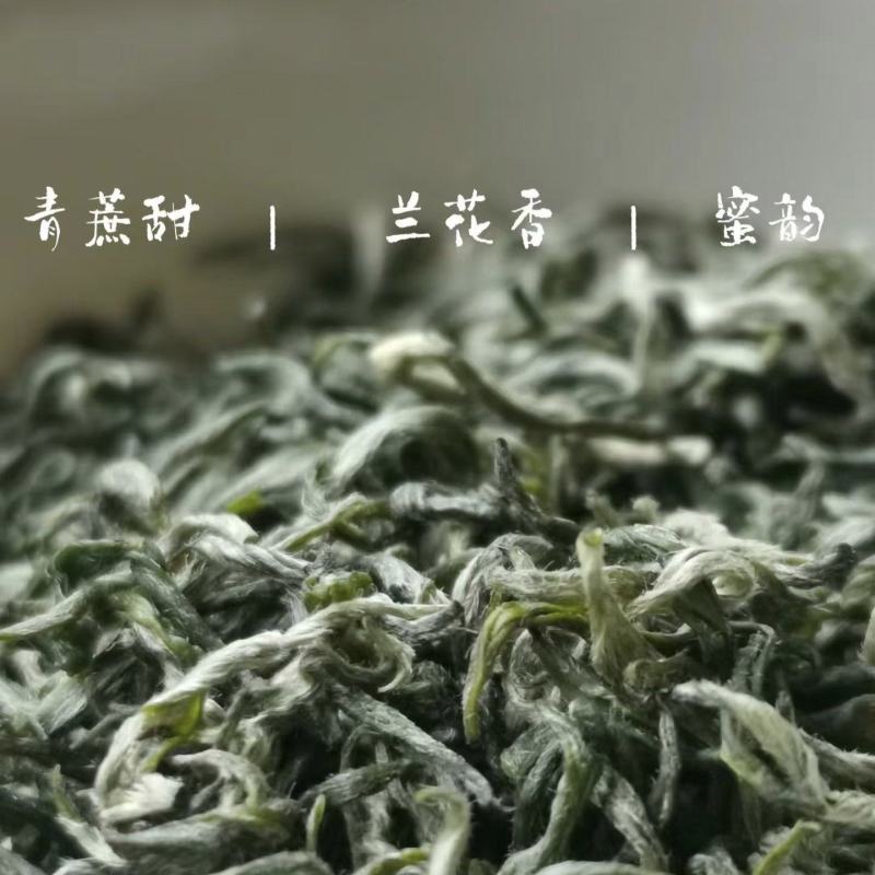 遂川狗牯脑绿茶