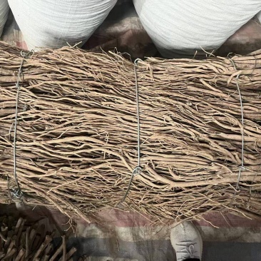 精品毛芪货源充足量大从优质量保证诚信经营欢迎咨