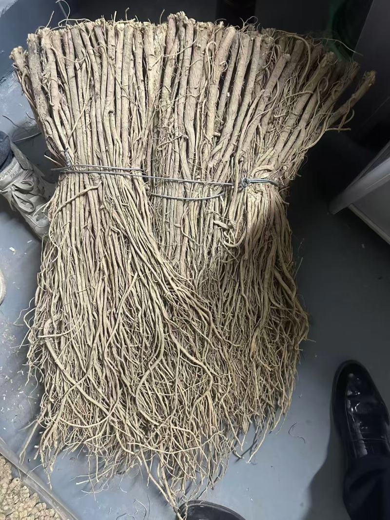 精品毛芪货源充足量大从优质量保证诚信经营欢迎咨