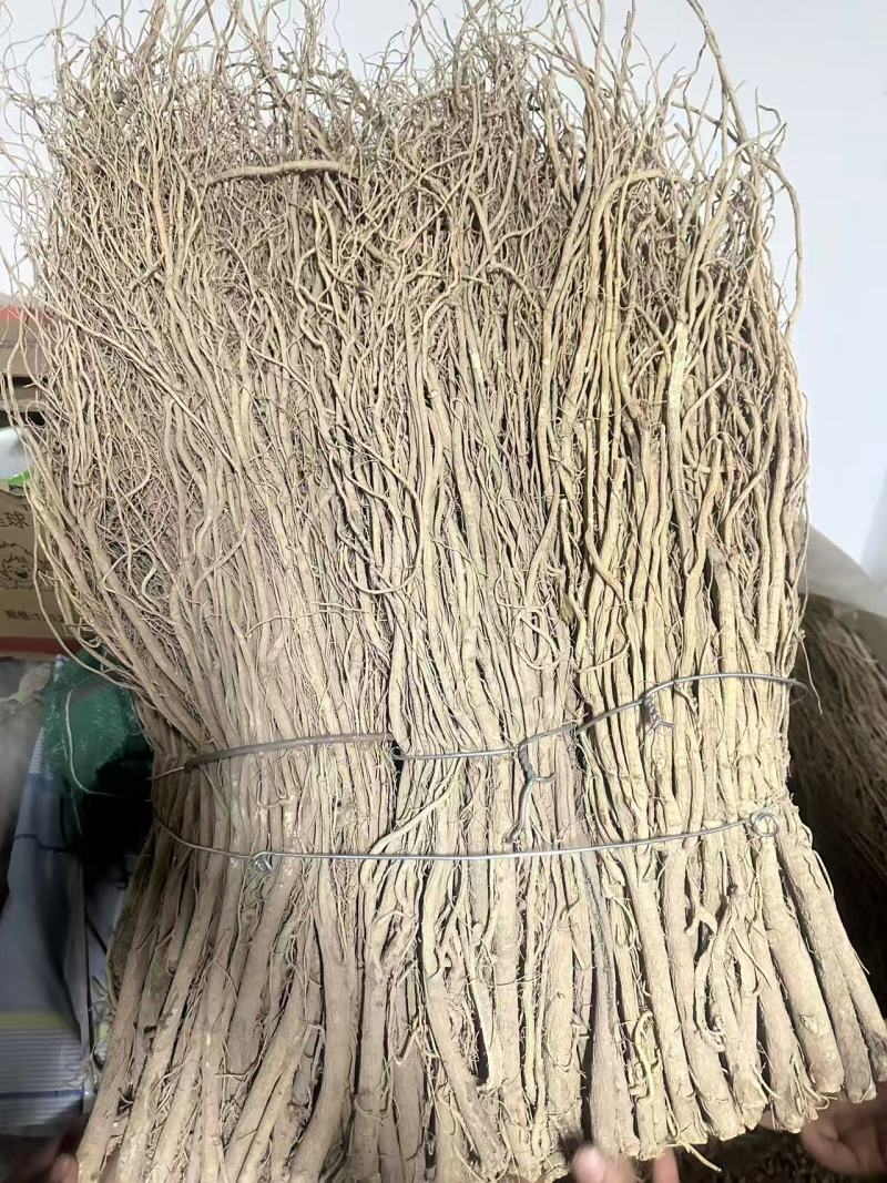 精品毛芪货源充足量大从优质量保证诚信经营欢迎咨