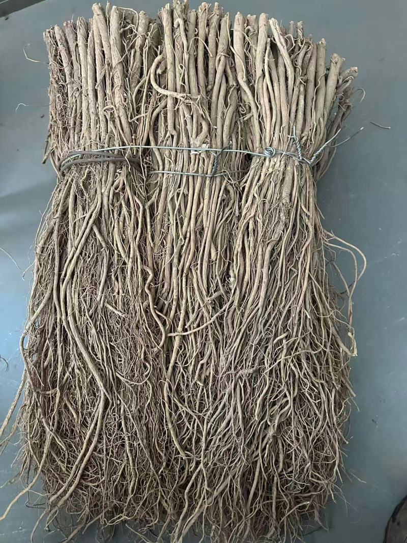 精品毛芪货源充足量大从优质量保证诚信经营欢迎咨