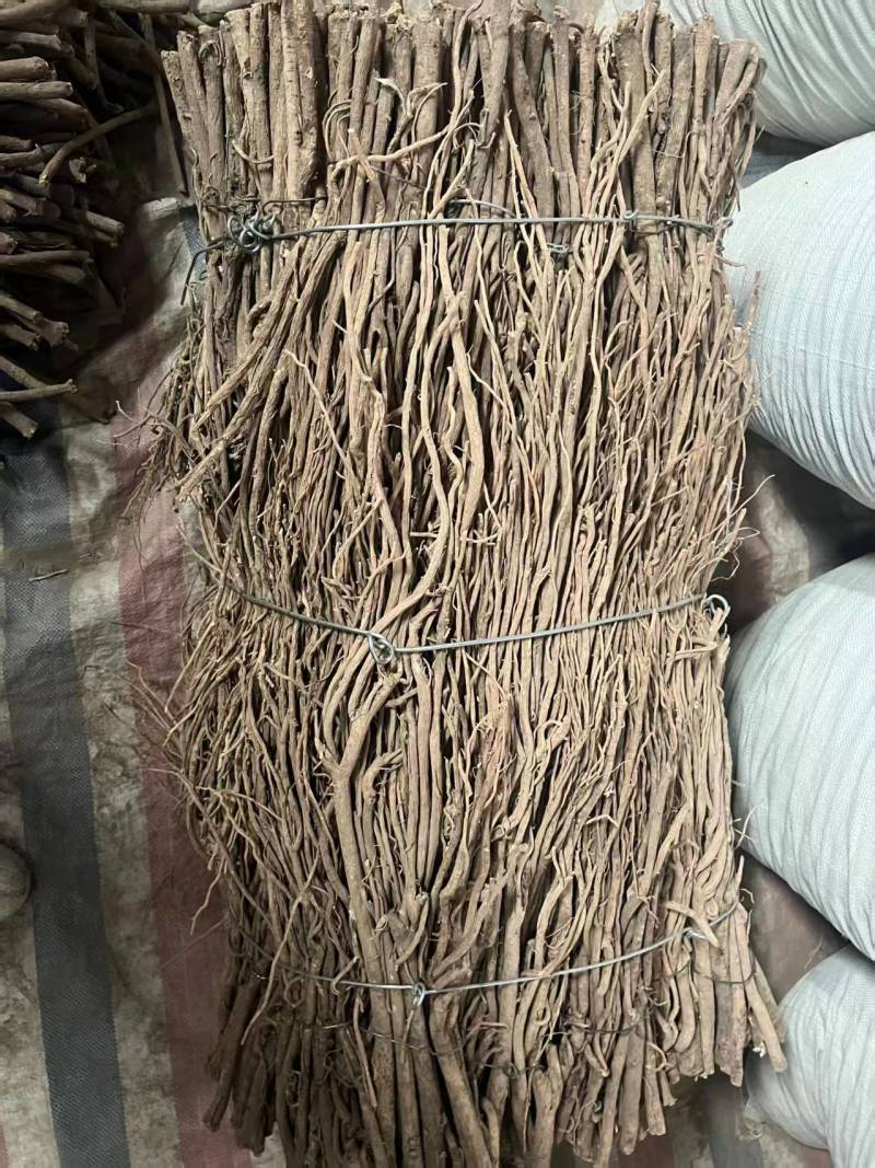 精品毛芪货源充足量大从优质量保证诚信经营欢迎咨