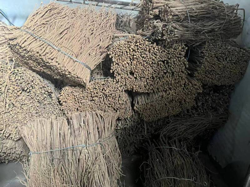 精品毛芪货源充足量大从优质量保证诚信经营欢迎咨