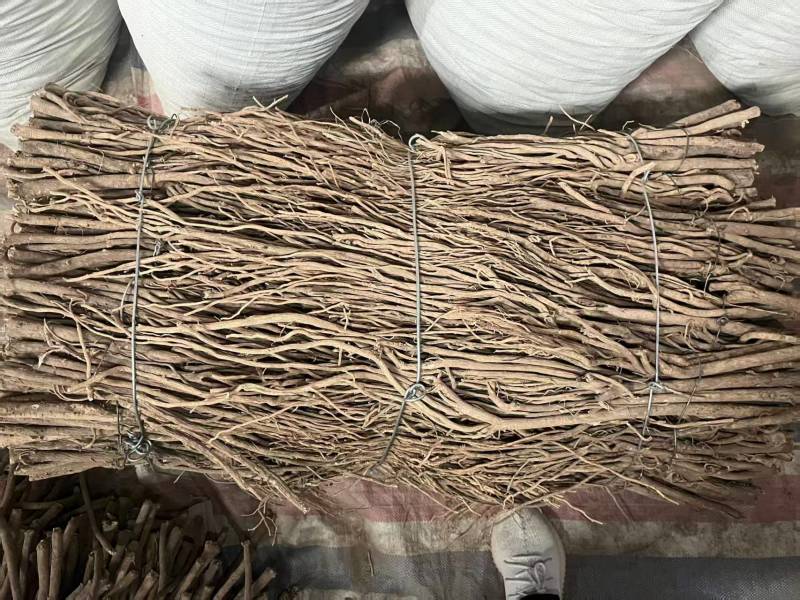 精品毛芪货源充足量大从优质量保证诚信经营欢迎咨