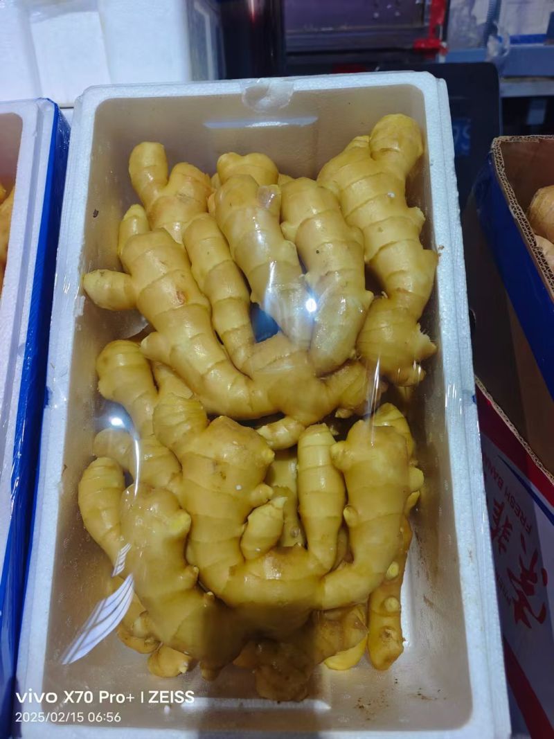 盖州大姜，