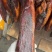 腊肉四川烟熏腊肉烟熏腊二刀展会景区地摊跑江湖厂家直销