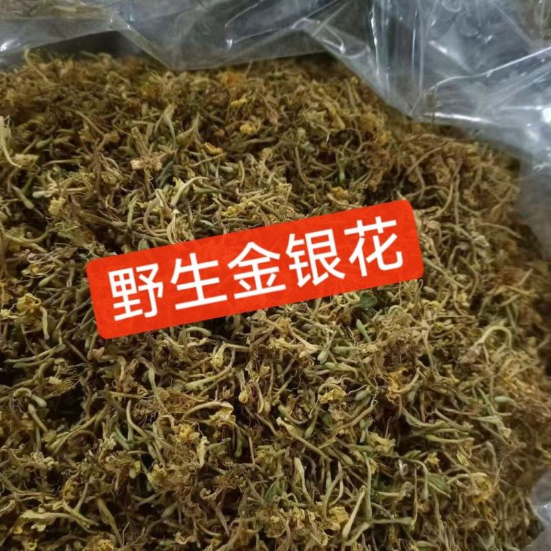 河源野生金银花正宗野生金银花金银花