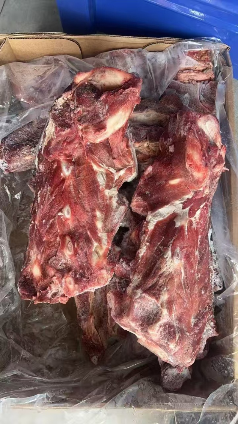 精品牛脊骨