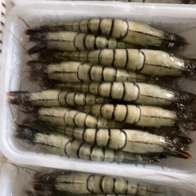 东山岛活冻黑虎虾250g/盒10-12只通货可代发